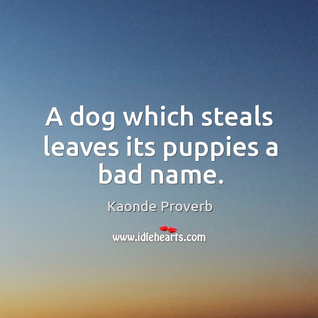 A dog which steals leaves its puppies a bad name. Kaonde Proverbs Image