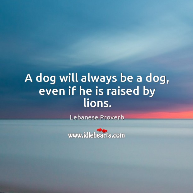 A dog will always be a dog, even if he is raised by lions. Image