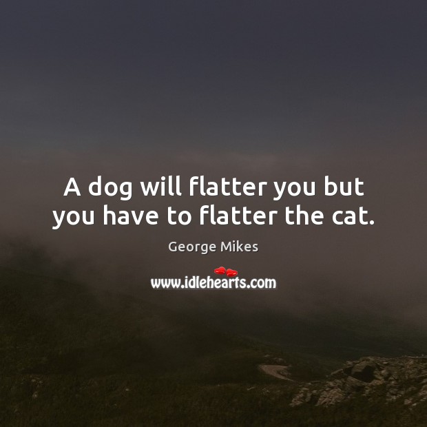 A dog will flatter you but you have to flatter the cat. George Mikes Picture Quote