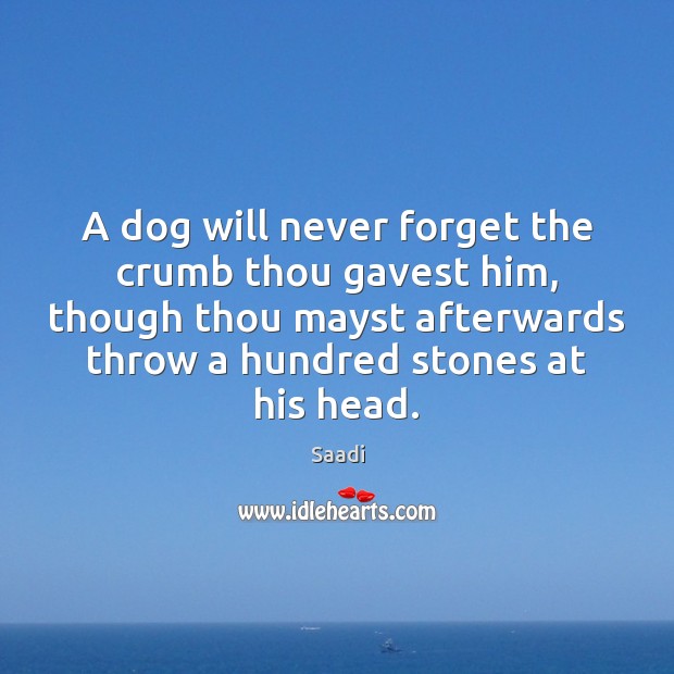 A dog will never forget the crumb thou gavest him, though thou Saadi Picture Quote