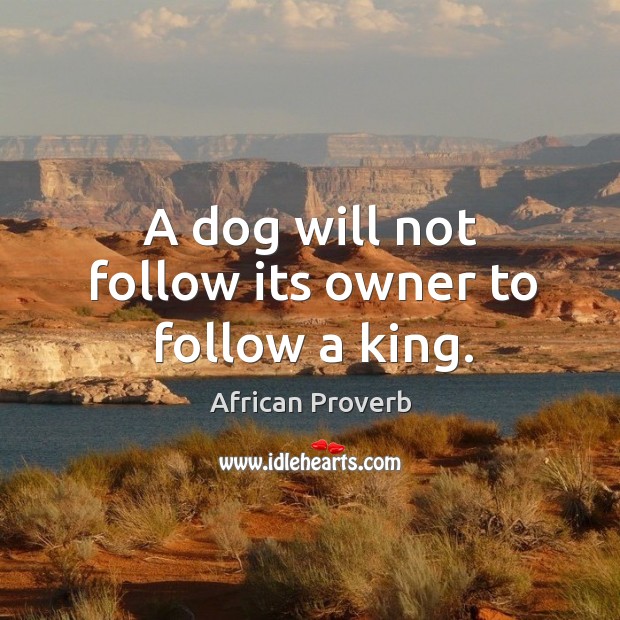A dog will not follow its owner to follow a king. Image