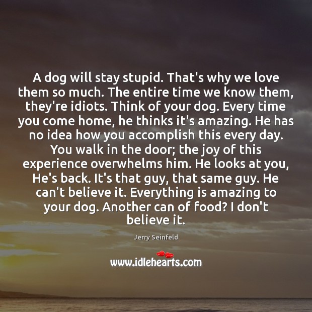 A dog will stay stupid. That’s why we love them so much. Jerry Seinfeld Picture Quote