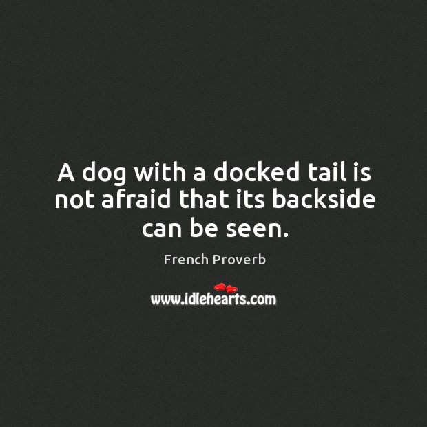 A dog with a docked tail is not afraid that its backside can be seen. Image