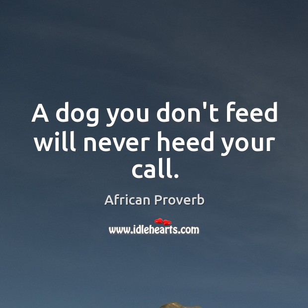 A dog you don’t feed will never heed your call. Image