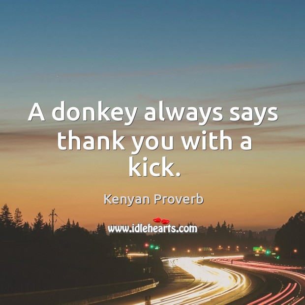 A donkey always says thank you with a kick. Image
