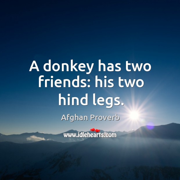A donkey has two friends: his two hind legs. Afghan Proverbs Image