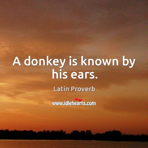 A donkey is known by his ears. Latin Proverbs Image