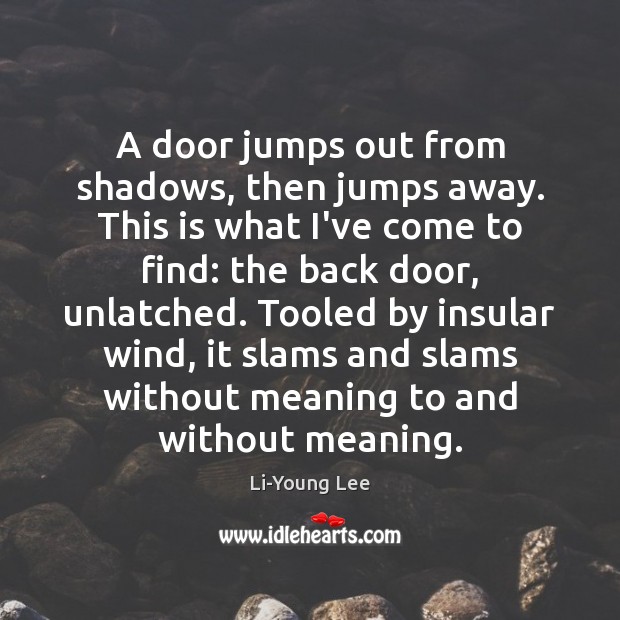 A door jumps out from shadows, then jumps away. This is what Li-Young Lee Picture Quote