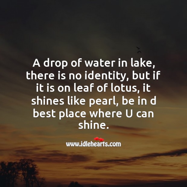 A drop of water in lake, there is no identity, but if it is on leaf of lotus, it shines like pearl Image