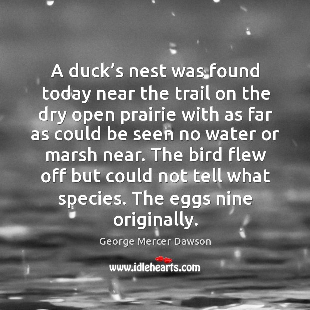 A duck’s nest was found today near the trail on the dry open prairie with as far as could George Mercer Dawson Picture Quote