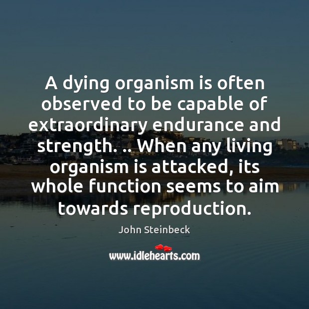 A dying organism is often observed to be capable of extraordinary endurance John Steinbeck Picture Quote