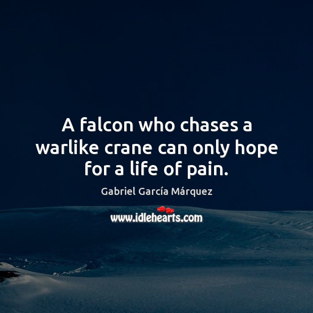 A falcon who chases a warlike crane can only hope for a life of pain. Gabriel García Márquez Picture Quote