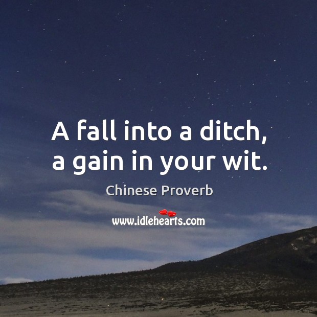 A fall into a ditch, a gain in your wit. Chinese Proverbs Image