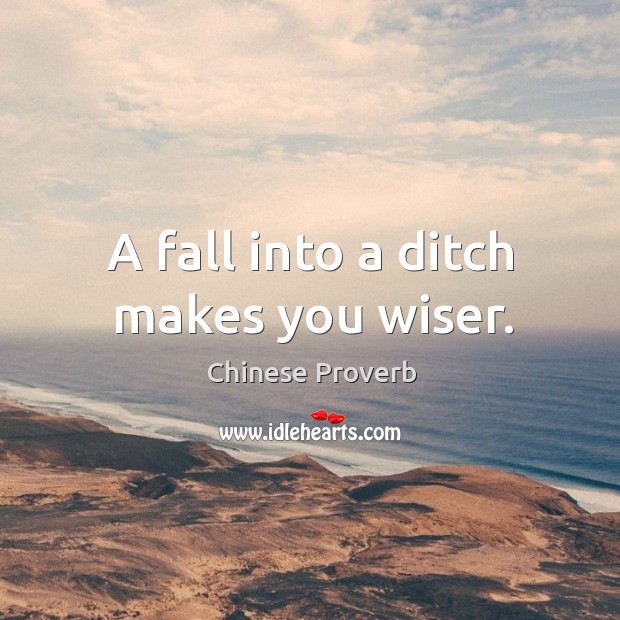 A fall into a ditch makes you wiser. Image