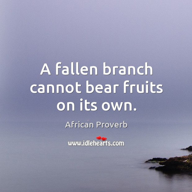 A fallen branch cannot bear fruits on its own. African Proverbs Image