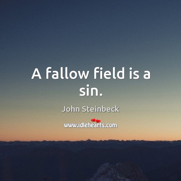A fallow field is a sin. Image