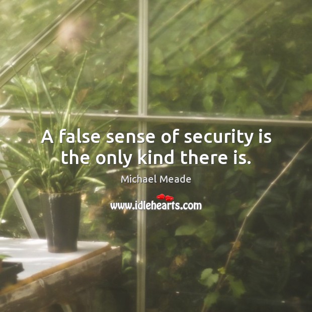 A false sense of security is the only kind there is. Michael Meade Picture Quote