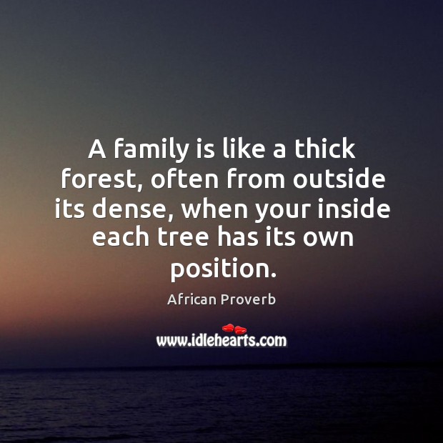 A family is like a thick forest, often from outside its dense African Proverbs Image
