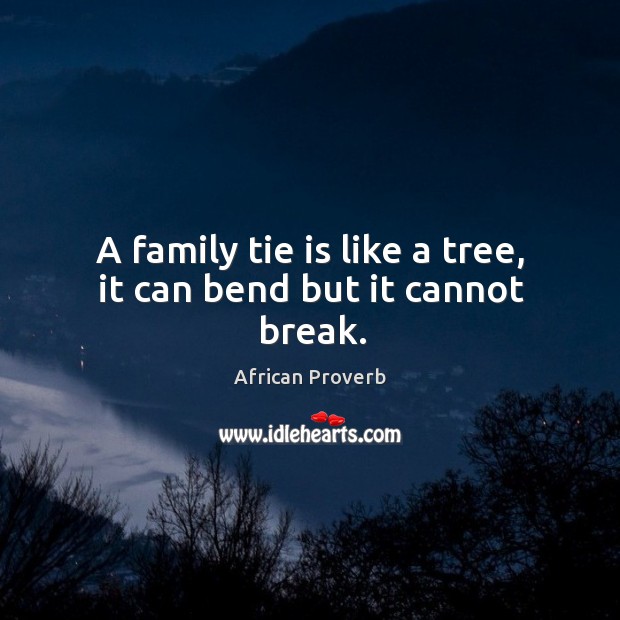 A family tie is like a tree, it can bend but it cannot break. Image