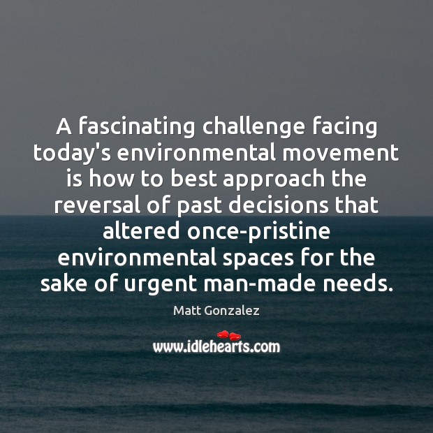 A fascinating challenge facing today’s environmental movement is how to best approach Matt Gonzalez Picture Quote