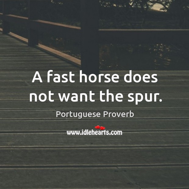A fast horse does not want the spur. Portuguese Proverbs Image