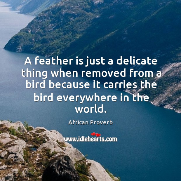 A feather is just a delicate thing when removed from a bird because African Proverbs Image