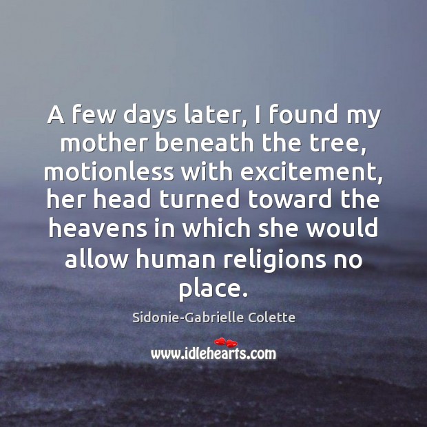 A few days later, I found my mother beneath the tree, motionless Sidonie-Gabrielle Colette Picture Quote