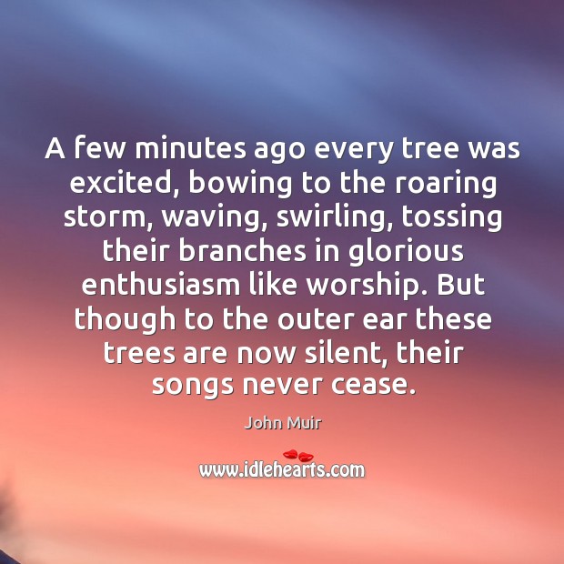 A few minutes ago every tree was excited, bowing to the roaring storm, waving, swirling John Muir Picture Quote