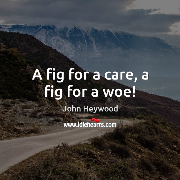 A fig for a care, a fig for a woe! John Heywood Picture Quote