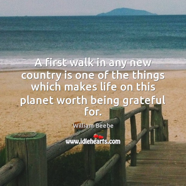 A first walk in any new country is one of the things William Beebe Picture Quote