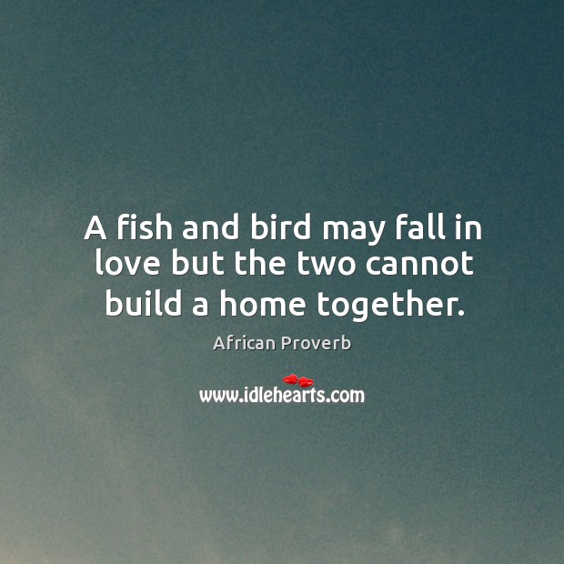 A fish and bird may fall in love but the two cannot build a home together. Image