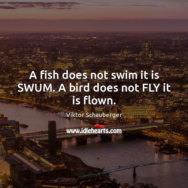 A fish does not swim it is SWUM. A bird does not FLY it is flown. Viktor Schauberger Picture Quote