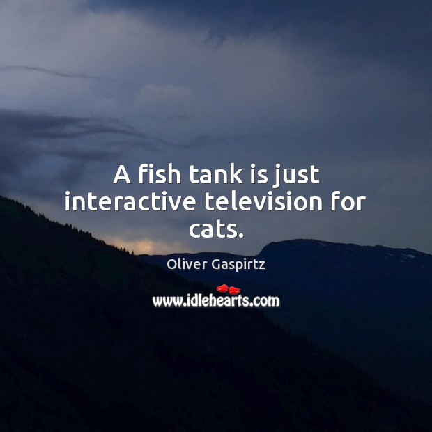 A fish tank is just interactive television for cats. Oliver Gaspirtz Picture Quote