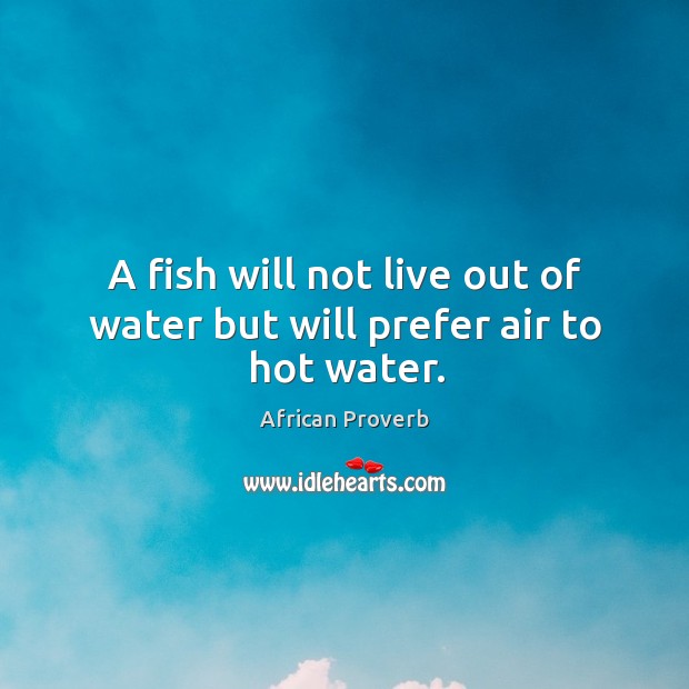 A fish will not live out of water but will prefer air to hot water. Image