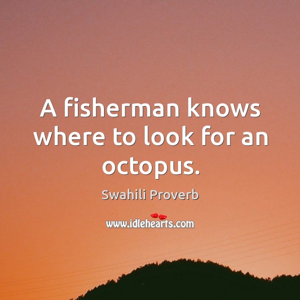 A fisherman knows where to look for an octopus. Swahili Proverbs Image