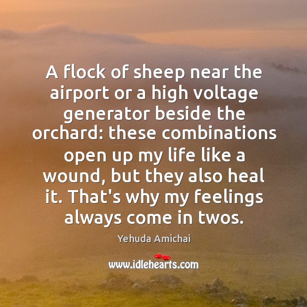 A flock of sheep near the airport or a high voltage generator Yehuda Amichai Picture Quote
