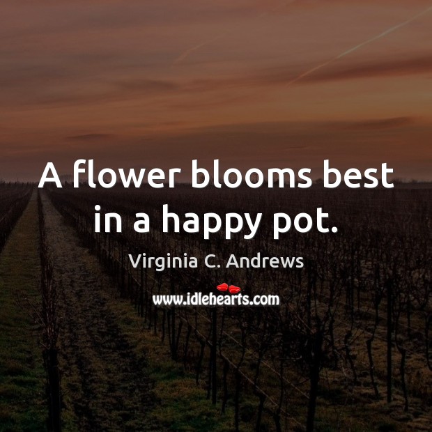 A flower blooms best in a happy pot. Virginia C. Andrews Picture Quote