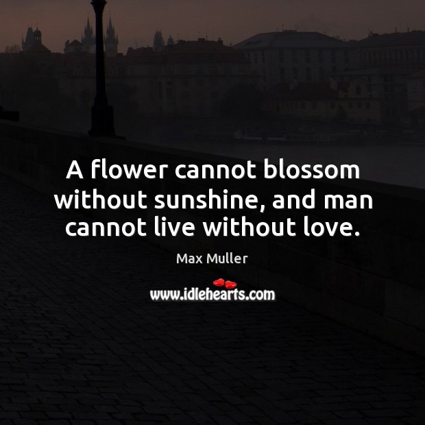 A flower cannot blossom without sunshine, and man cannot live without love. Max Muller Picture Quote
