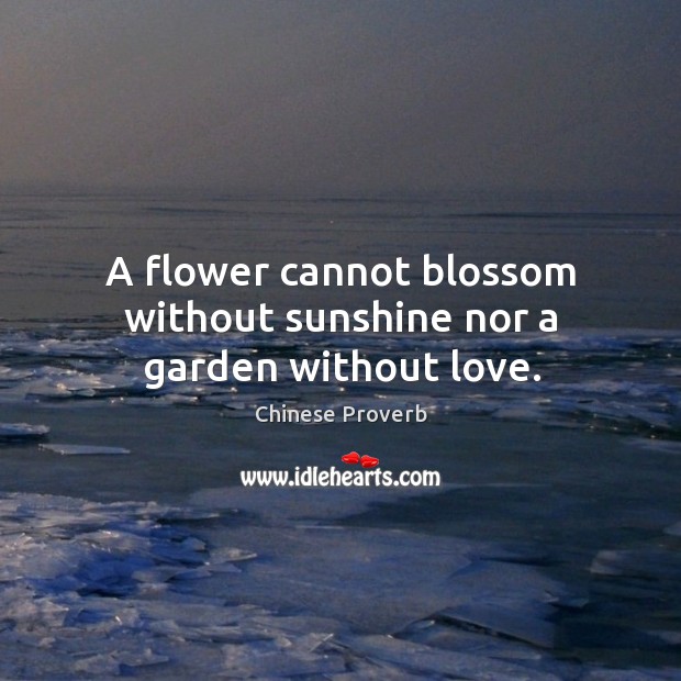 A flower cannot blossom without sunshine nor a garden without love. Chinese Proverbs Image