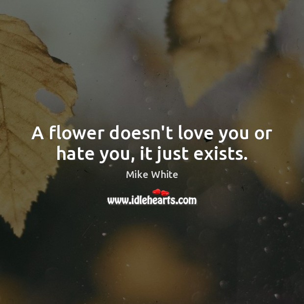 A flower doesn’t love you or hate you, it just exists. Image