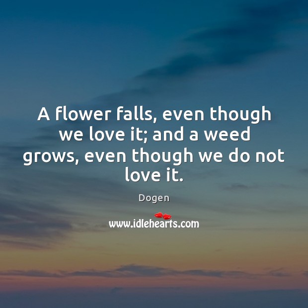 A flower falls, even though we love it; and a weed grows, even though we do not love it. Image