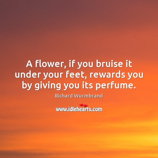 A flower, if you bruise it under your feet, rewards you by giving you its perfume. Richard Wurmbrand Picture Quote