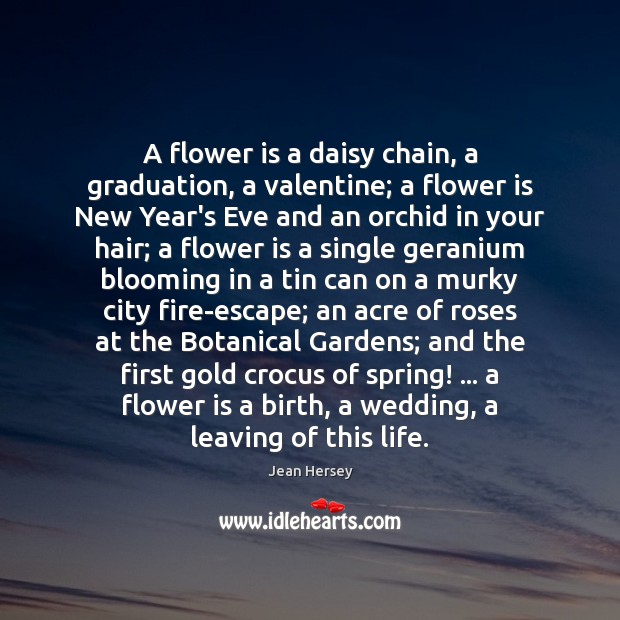 A flower is a daisy chain, a graduation, a valentine; a flower Jean Hersey Picture Quote