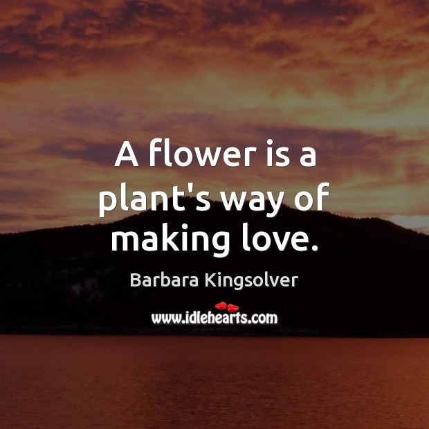 A flower is a plant’s way of making love. Flowers Quotes Image