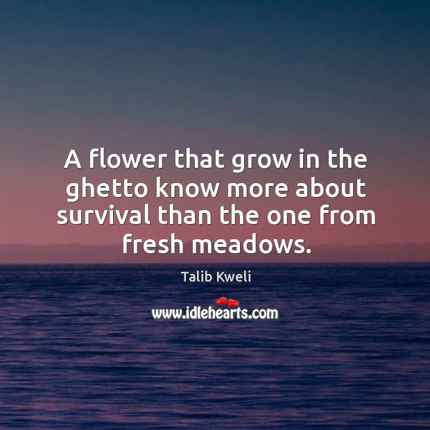 A flower that grow in the ghetto know more about survival than the one from fresh meadows. Talib Kweli Picture Quote