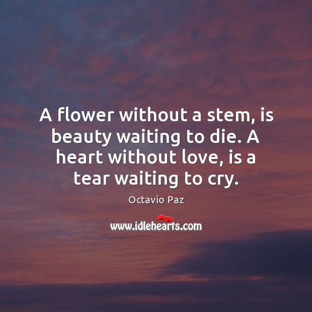 A flower without a stem, is beauty waiting to die. A heart Flowers Quotes Image