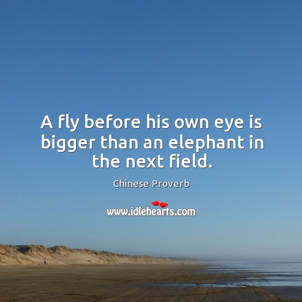A fly before his own eye is bigger than an elephant in the next field. Image
