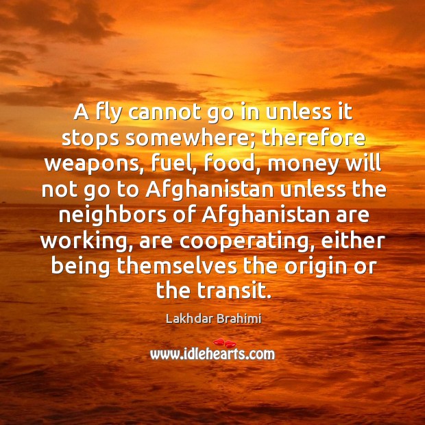 A fly cannot go in unless it stops somewhere; therefore weapons, fuel, food Image