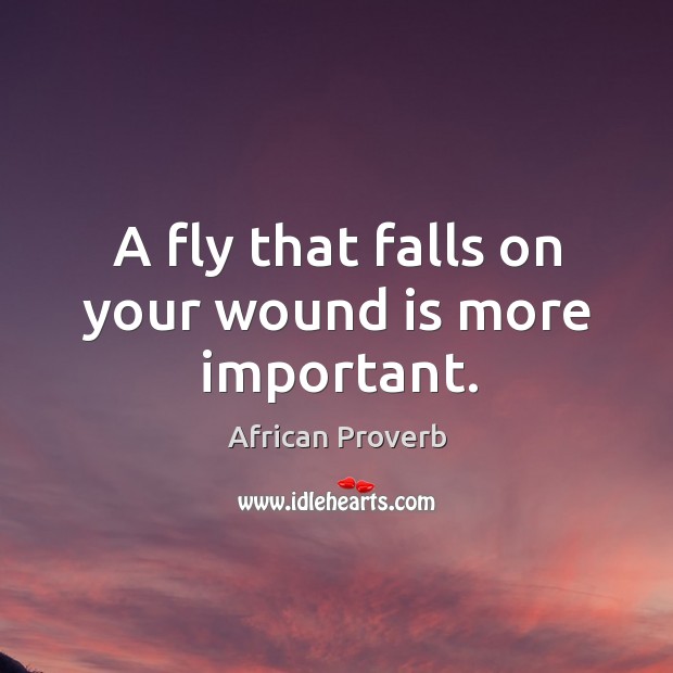 A fly that falls on your wound is more important. African Proverbs Image