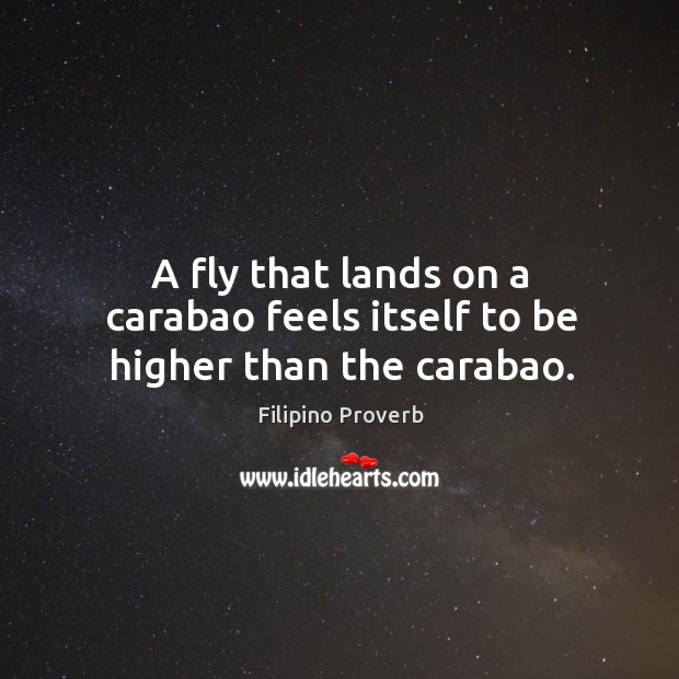 A fly that lands on a carabao feels itself to be higher than the carabao. Image